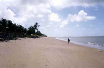Pernambuco