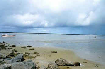 Pernambuco