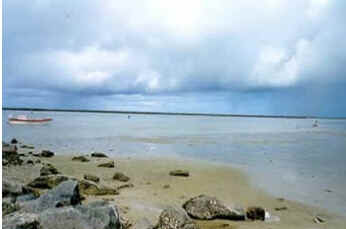 Pernambuco