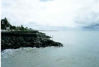 Pernambuco