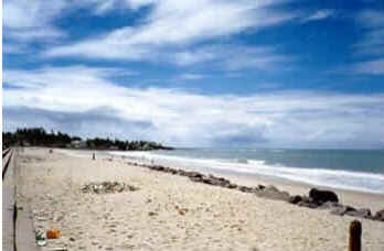 Pernambuco