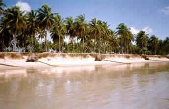 Pernambuco