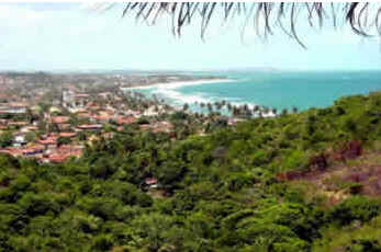 Pernambuco
