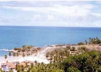 Pernambuco