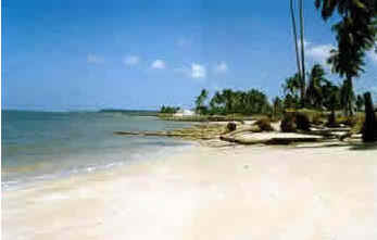 Pernambuco