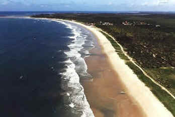 Pernambuco