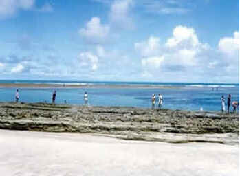 Pernambuco