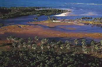 Pernambuco