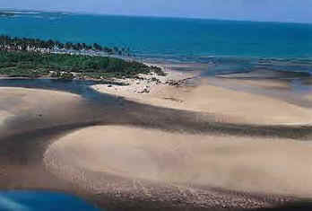 Pernambuco
