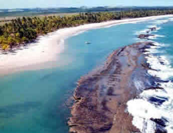 Pernambuco