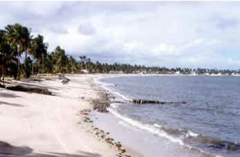 Pernambuco