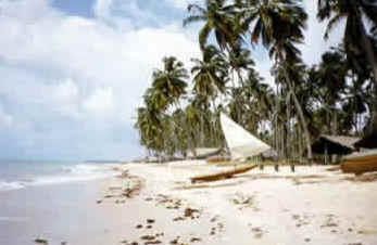 Pernambuco