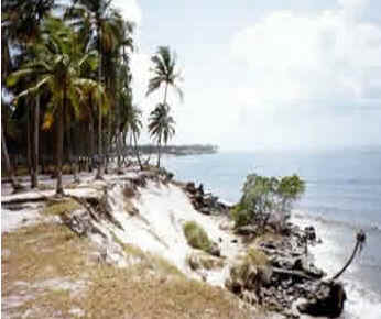 Pernambuco
