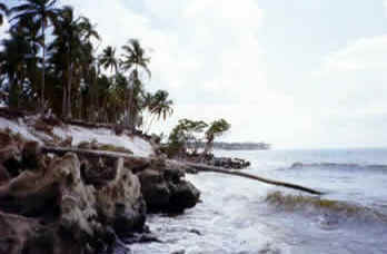 Pernambuco