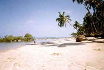 Pernambuco
