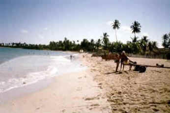Pernambuco