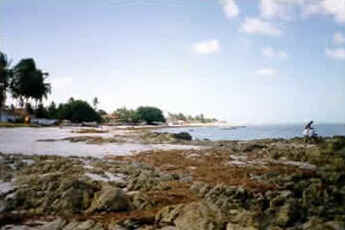 Pernambuco