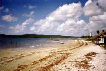 Pernambuco