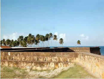 Pernambuco