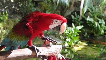 Punta Cana