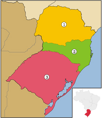 Região Sul do Brasil