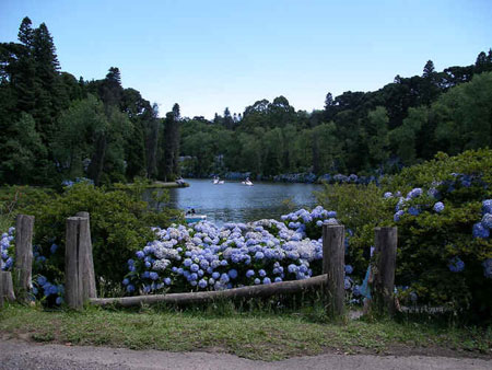 Rio Grande do Sul