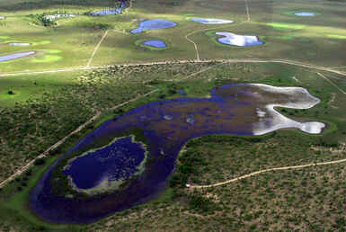 Roraima Roraima