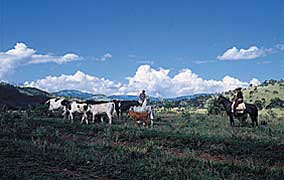 Santa Catarina Santa Catarina