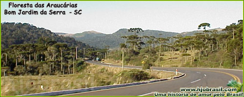 Santa Catarina Santa Catarina