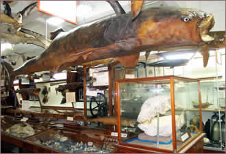 Cidade de Santos Cidade de Santos