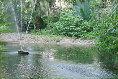 Cidade de Santos Cidade de Santos
