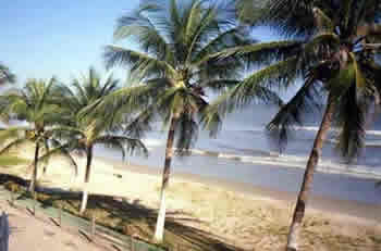 São Luis