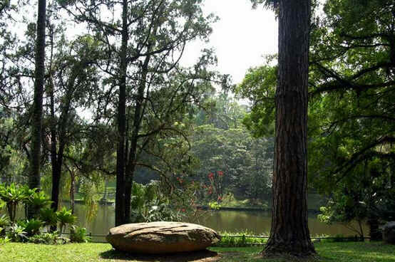 São Paulo São Paulo