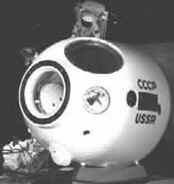 Soyuz Soyuz
