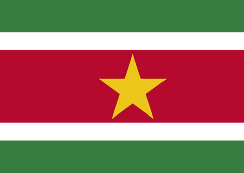 Bandeira do Suriname
