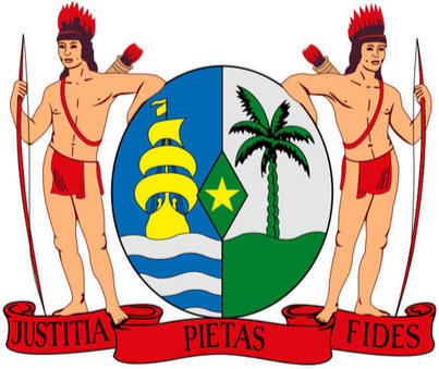 Bandeira do Suriname
