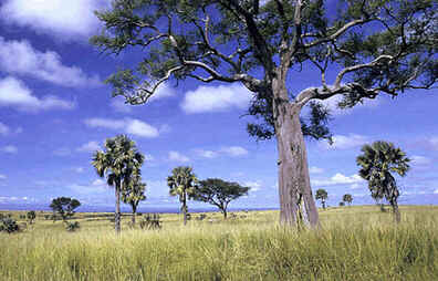 Uganda