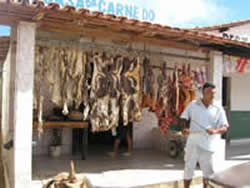 Vendedor