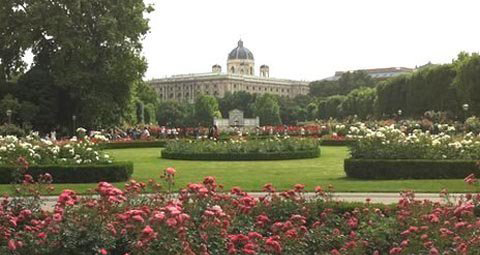 Viena