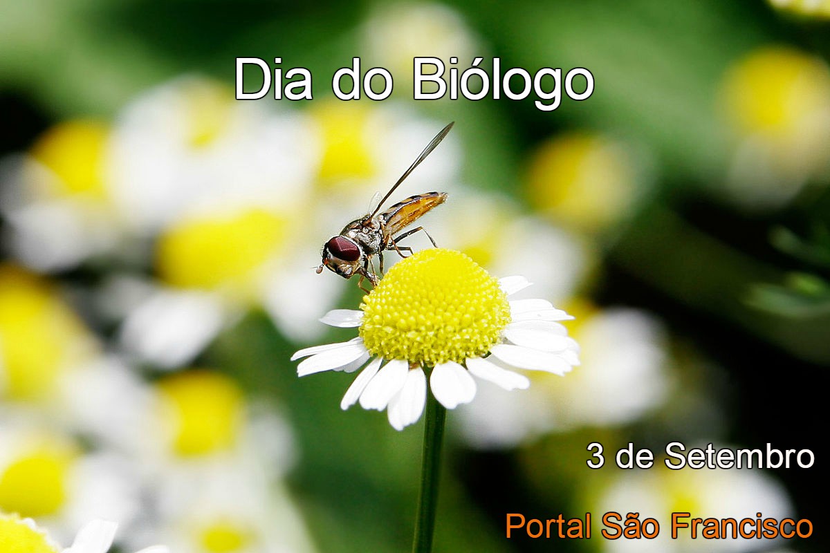 Dia do Biólogo 