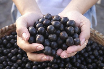 Produto Natural – Açaí