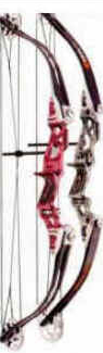 Arco e Flecha