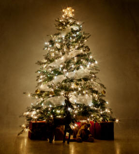 Árvore de Natal