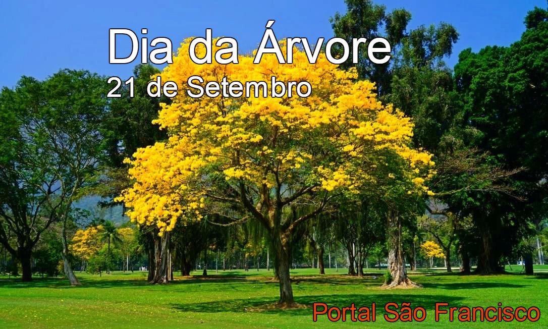 Dia da Árvore