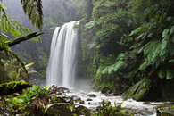 Dia Internacional da Biodiversidade Dia Internacional da Biodiversidade