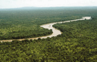 Dia Internacional da Biodiversidade Dia Internacional da Biodiversidade