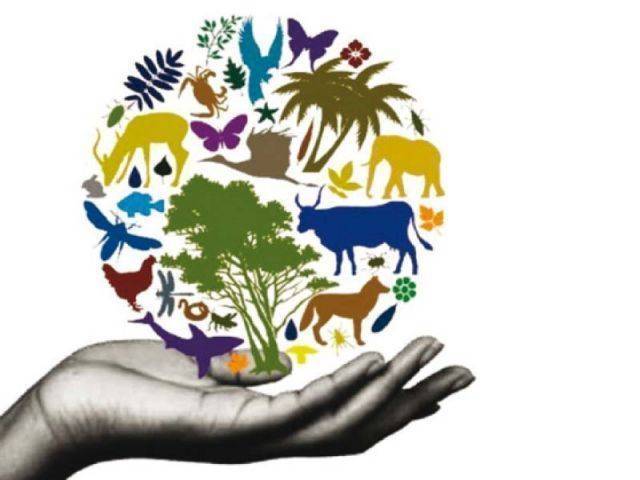 Biodiversidade Biodiversidade
