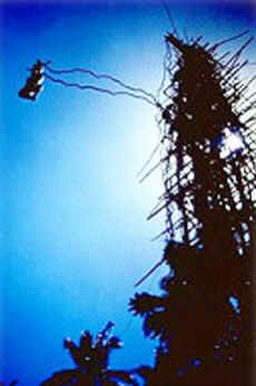 Bungee Jump Bungee Jump