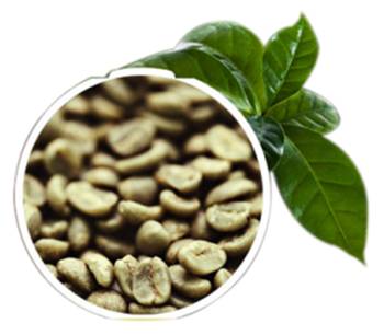 Produto Natural - Café Verde Produto Natural - Café Verde