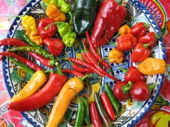 Capsaicina